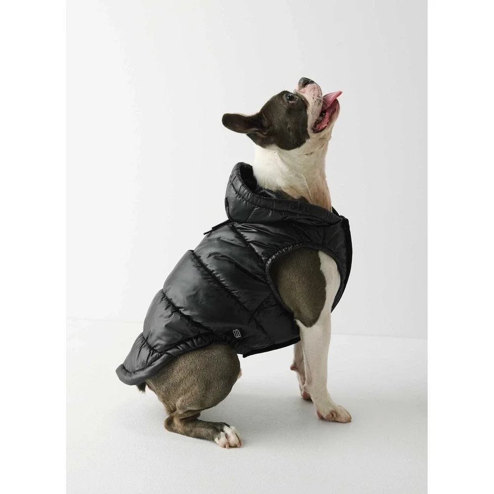 Aritzia Super Ruff Puff Dog Jacket Size Small Black Primaloft NEW